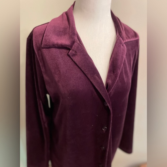 Vintage Plum Velour Blouse - Picture 2 of 6